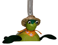 Sky-jumper turtle with hat